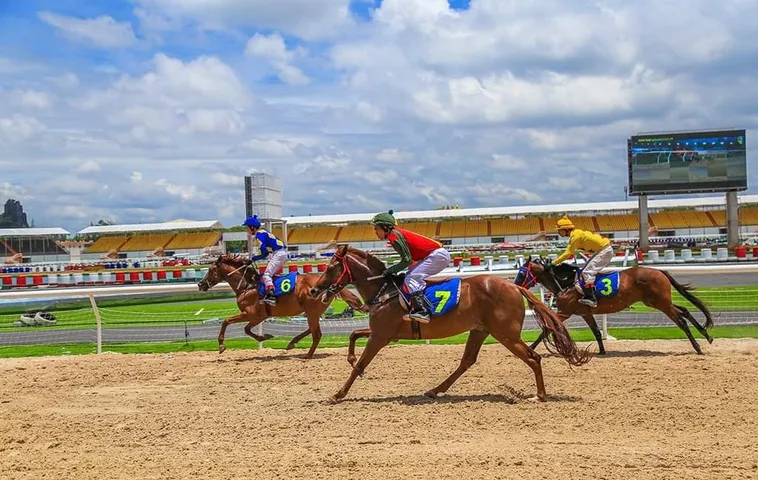 Tìm Hiểu Cá Cược Đua Ngựa New88 Hấp Dẫn Và Kịch Tính 1 Tìm Hiểu Cá Cược Đua Ngựa New88 Hấp Dẫn Và Kịch Tính